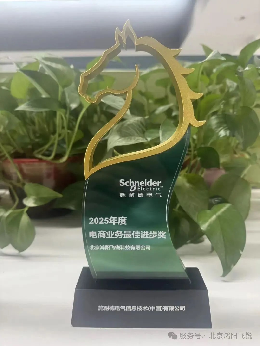 北京鸿阳飞锐科技